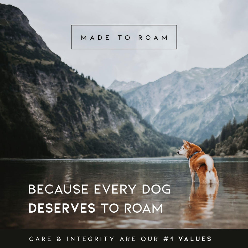 Made to ROAM Premium Dog Collar - Heavy Duty Nylon with Quick-Release Metal Buckle, Colorado Nightsky, Classic Size 1