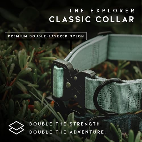 Made to ROAM Premium Dog Collar – Florida Seaside, Classic Size 0 (0.5") Heavy Duty Nylon