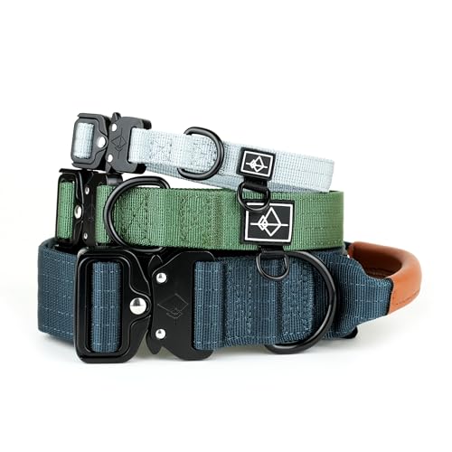 Made to ROAM Premium Dog Collar – Nevada Evening, Classic Size 0