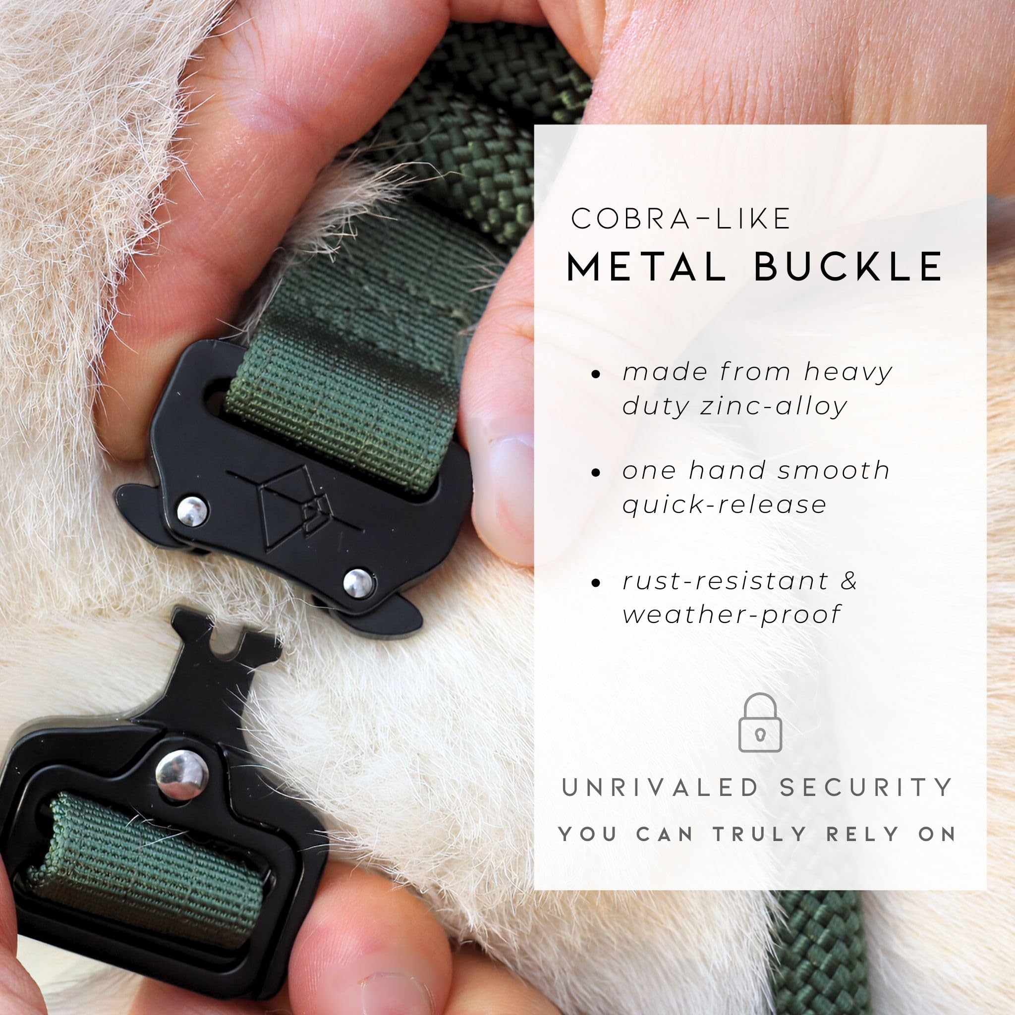 MADE TO ROAM Premium Dog Collar New York Afterlight - Heavy Duty Nylon with Quick-Release Buckle