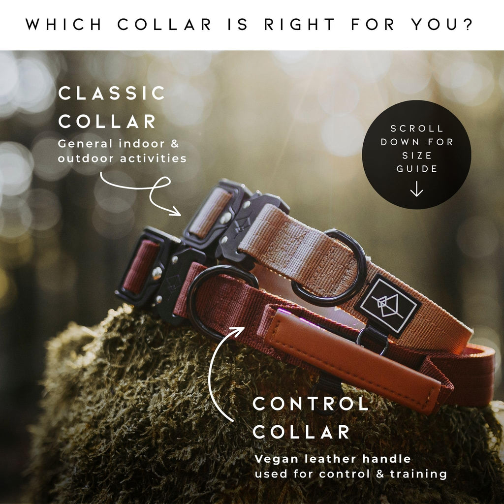 MADE TO ROAM Premium Dog Collar New York Afterlight - Heavy Duty Nylon with Quick-Release Buckle