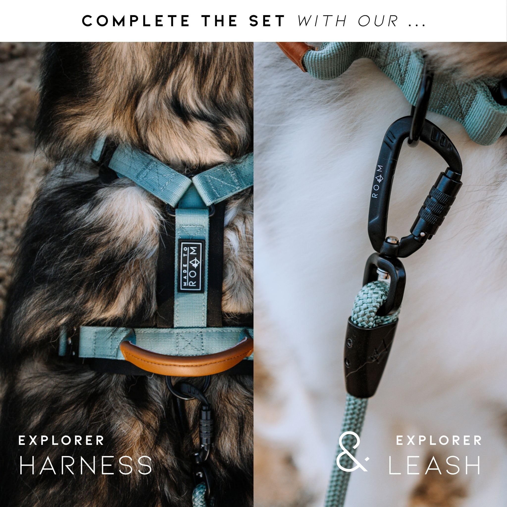 MADE TO ROAM Vermont Weekends Dog Collar - Heavy Duty Nylon with Quick-Release Buckle, Classic Size 1