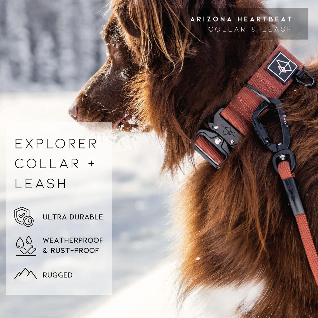 MADE TO ROAM Vermont Weekends Dog Collar - Heavy Duty Nylon with Quick-Release Buckle, Classic Size 1