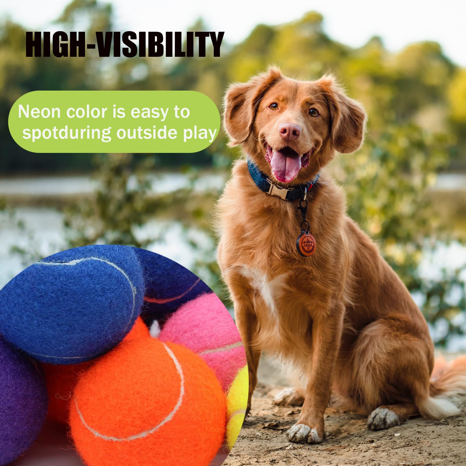 Magicorange 4 Inch Oversized Tennis Balls for Dogs – 2 Pack Fluorescent Multicolor Giant Pet Chew Toy with Mesh Bag