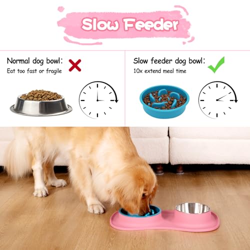 MateeyLife 3-in-1 Dog Bowl Set - Slow Feeder, Stainless Steel Bowl, Non-Spill Silicone Mat for Small to Medium Dogs and Cats
