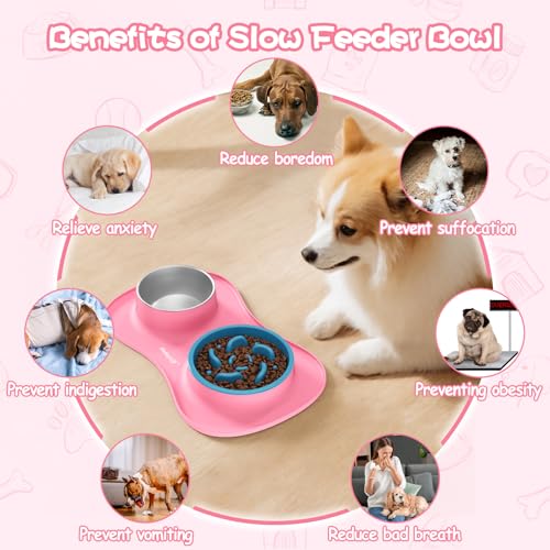 MateeyLife 3-in-1 Dog Bowl Set - Slow Feeder, Stainless Steel Bowl, Non-Spill Silicone Mat for Small to Medium Dogs and Cats