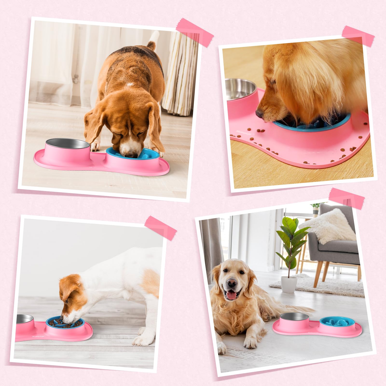 MateeyLife 3-in-1 Dog Bowl Set - Slow Feeder, Stainless Steel Bowl, Non-Spill Silicone Mat for Small to Medium Dogs and Cats