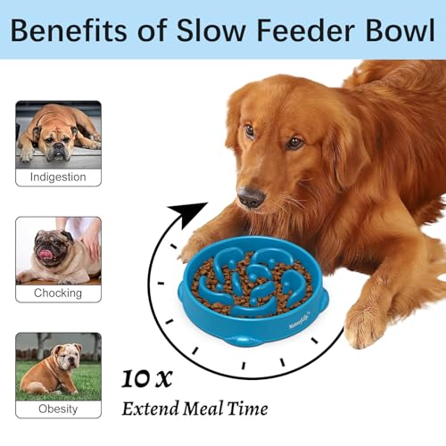 MateeyLife Large Slow Feeder Dog Bowls (2-Pack) – Anti-Choking Maze Design, Non-Slip Base, 4 Cups Capacity, Purple & Dark Blue
