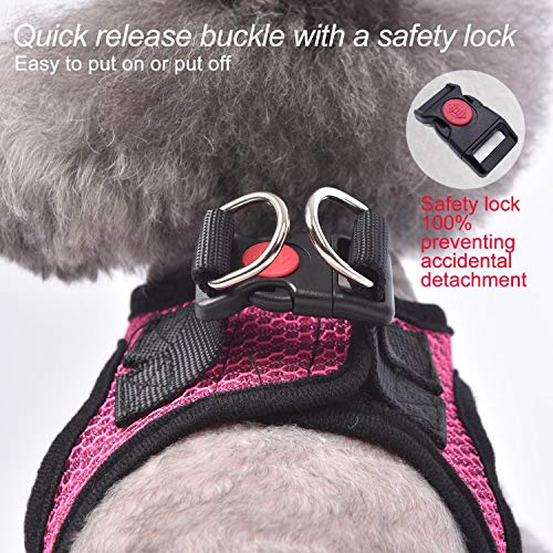 Matilor Air Mesh Step-in Dog Harness for Small Dogs – Pink, X-Small with Leash
