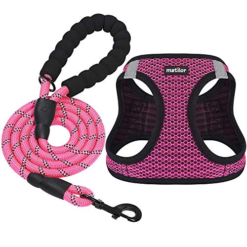 Matilor Air Mesh Step-in Dog Harness for Small Dogs – Pink, X-Small with Leash