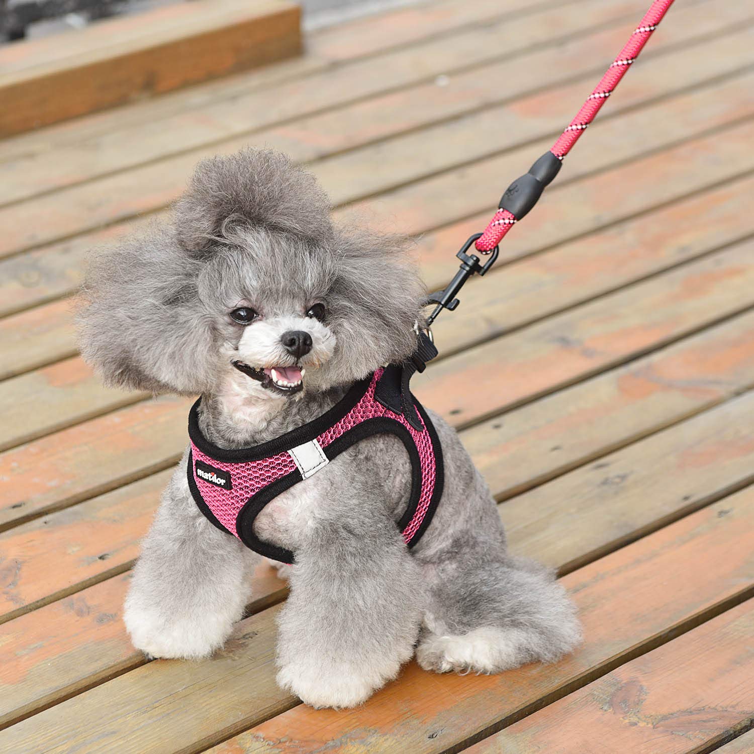 Matilor X-Large Pink Dog Harness – Step-In Air Mesh Vest for Small to Medium Dogs with Leash