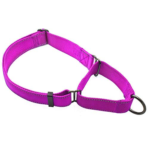 Max and Neo Nylon Extra Large Martingale Dog Collar - Slip-On Design for Large Breeds, Supports Dog Rescue (Pink)