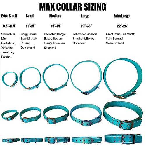 Max and Neo Reflective Metal Buckle Dog Collar (Medium, Black) - Donates a Collar to Rescue