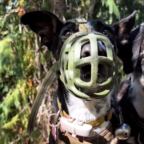 Mayerzon X-Large Basket Dog Muzzle - Breathable Rubber Muzzle for Aggressive Dogs, Adjustable Nylon Strap, for Training Grooming & Everyday Walks