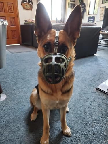 Mayerzon X-Large Basket Dog Muzzle - Breathable Rubber Muzzle for Aggressive Dogs, Adjustable Nylon Strap, for Training Grooming & Everyday Walks