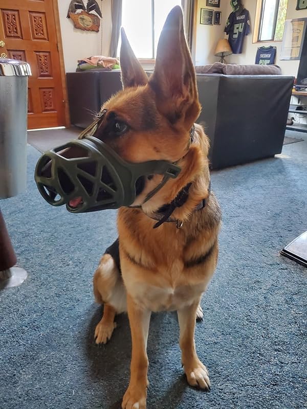 Mayerzon X-Large Basket Dog Muzzle - Breathable Rubber Muzzle for Aggressive Dogs, Adjustable Nylon Strap, for Training Grooming & Everyday Walks