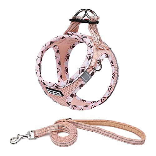 vimg::0
