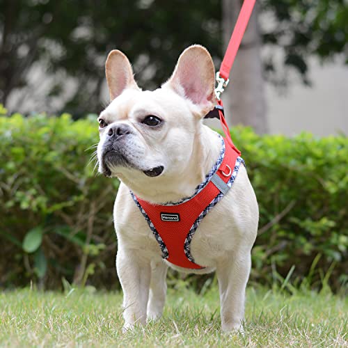 Mercano Soft Mesh Dog Harness and Leash Set – Step-in Reflective Vest for Small Dogs, Red XL