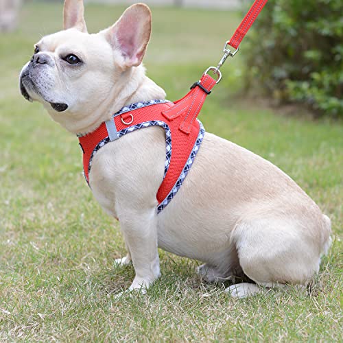 Mercano Soft Mesh Dog Harness and Leash Set – Step-in Reflective Vest for Small Dogs, Red XL