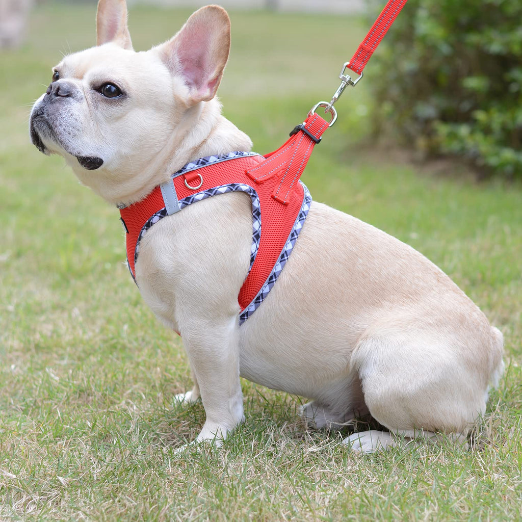 Mercano Soft Mesh Dog Harness and Leash Set – Step-in Reflective Vest for Small Dogs, Red XL