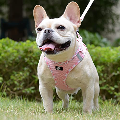 Mercano Soft Mesh Dog Harness and Leash Set, Step-in Reflective Vest Harness for Small Dogs, Cats (Pink, L)