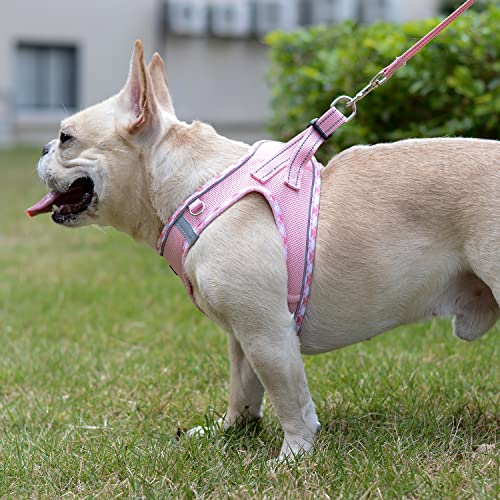 Mercano Soft Mesh Dog Harness and Leash Set, Step-in Reflective Vest Harness for Small Dogs, Cats (Pink, L)