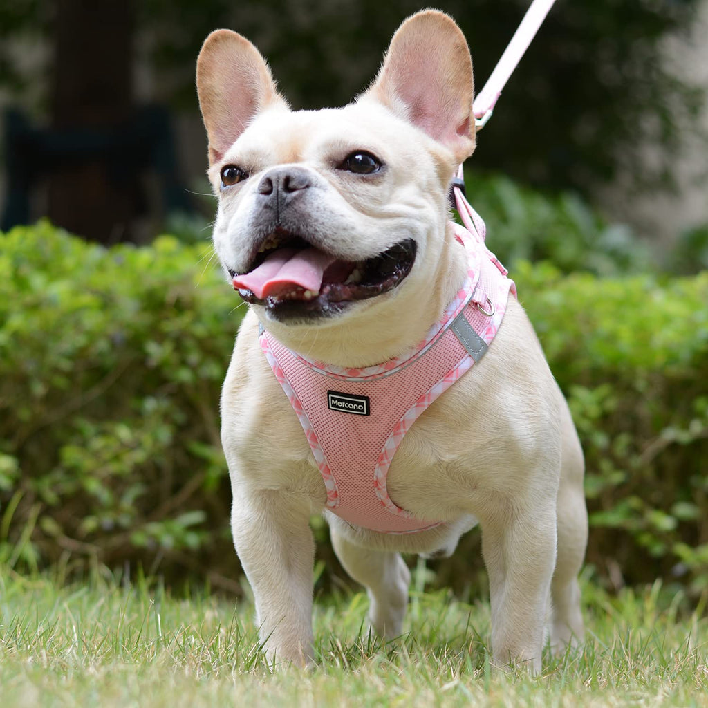 Mercano Soft Mesh Dog Harness and Leash Set, Step-in Reflective Vest Harness for Small Dogs, Cats (Pink, L)