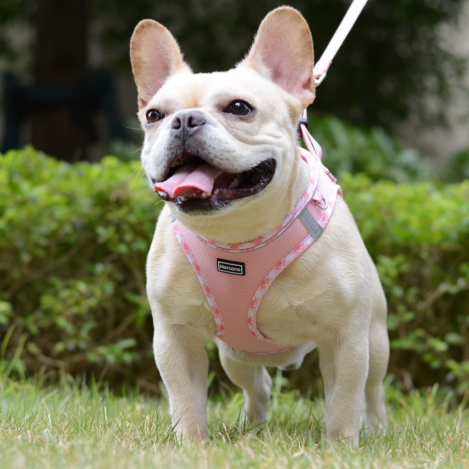 Mercano Soft Mesh Dog Harness and Leash Set, Step-in Reflective Vest Harness for Small Dogs, Cats (Pink, L)