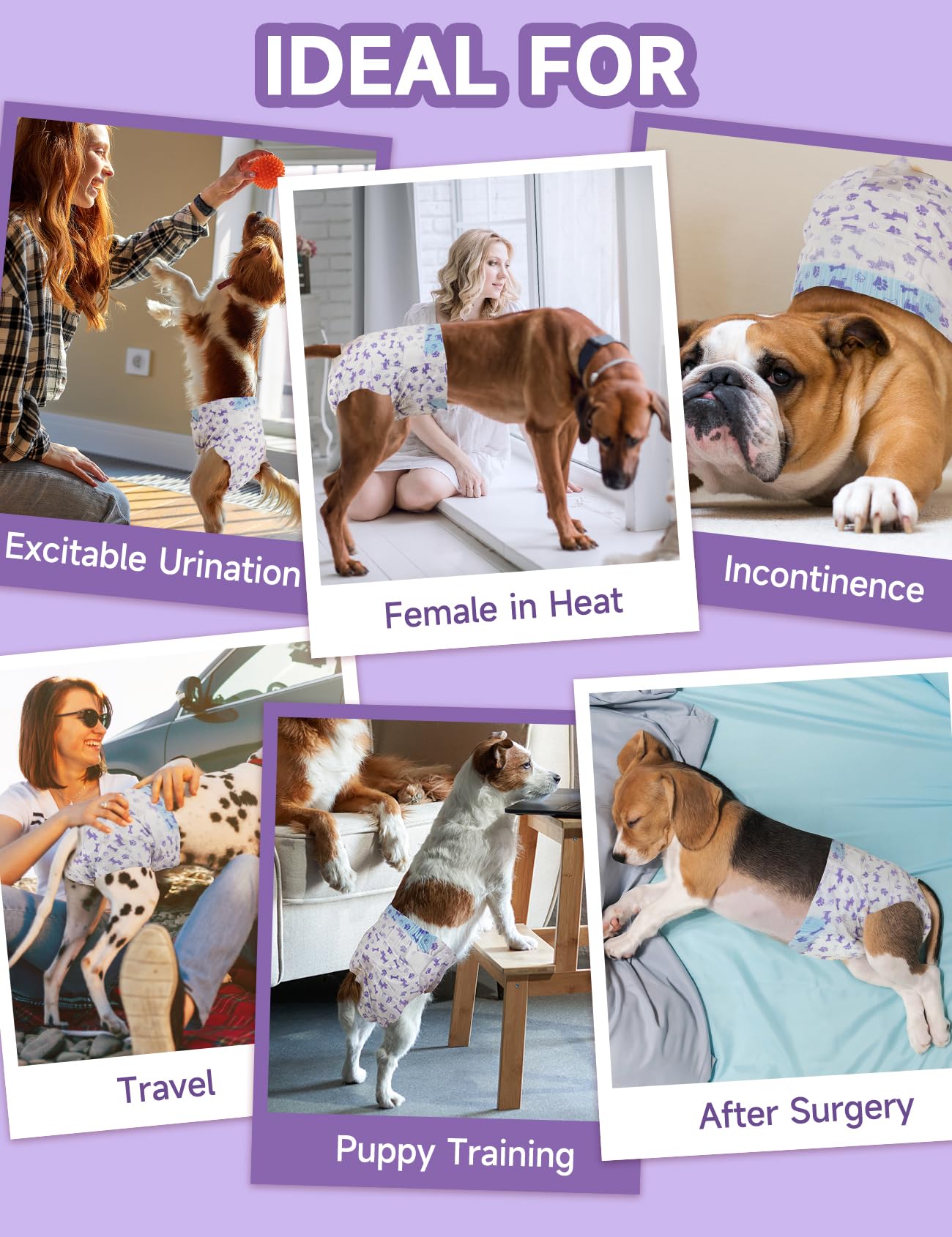 MICOOYO Disposable Dog Diapers for Female Dogs – Small 20 Count with Foam Tail Hole and Wetness Indicator