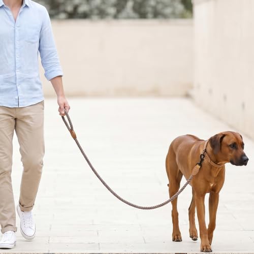 Mile High Life 6FT Braided Cotton Dog Leash with Leather Tip - Heavy Duty Clasp for Medium Large Dogs (Camel)