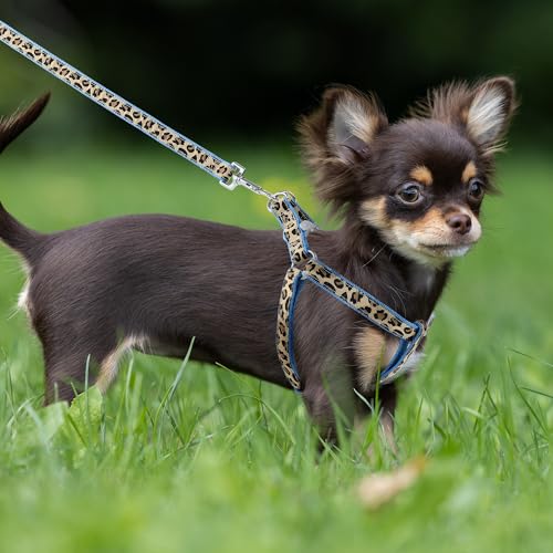 Mile High Life Blue Leopard Dog Harness, Collar, and Leash Set - No Pull Halter for Small Breeds, Size Medium