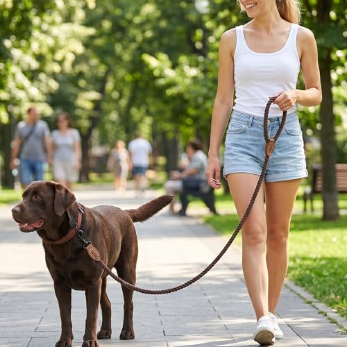 Mile High Life Braided Cotton Dog Leash - Dark Brown, 6FT, Leather Tip, Heavy-Duty Clasp