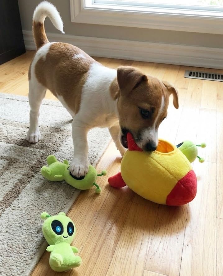 MODERN WAVE Interactive Squeaky Plush Hide and Seek Dog Toy – Spaceship & Aliens, Small
