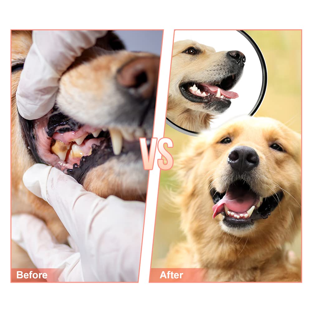 MONDOTOY Dog Chew Toy – Shoe-Shaped Natural Rubber for Aggressive Chewers, Medium Large Breeds
