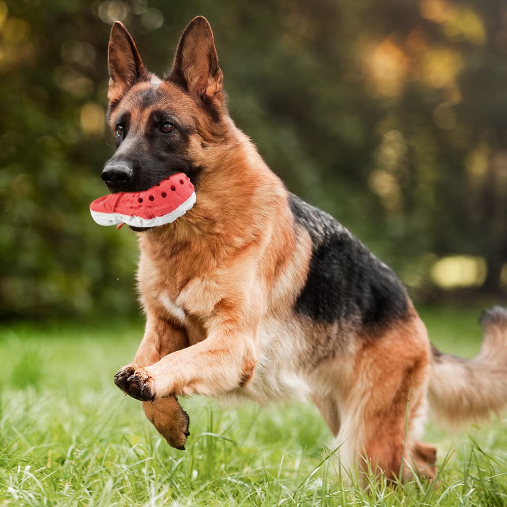 MONDOTOY Dog Chew Toy – Shoe-Shaped Natural Rubber for Aggressive Chewers, Medium Large Breeds