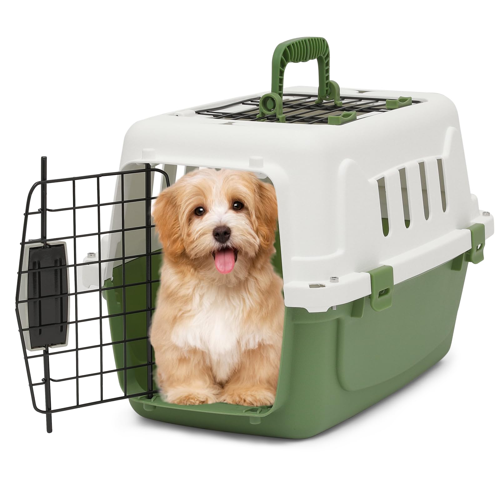 MoNiBloom 18-Inch Hard-Sided Two-Door Pet Carrier, Green - for Cats & Small Dogs up to 10 lbs