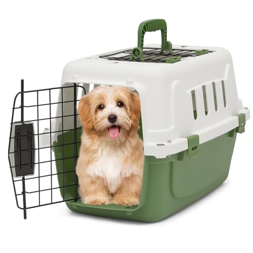 MoNiBloom 18-Inch Hard-Sided Two-Door Pet Carrier, Green - for Cats & Small Dogs up to 10 lbs