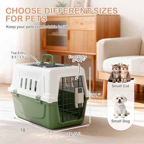 MoNiBloom 18-Inch Hard-Sided Two-Door Pet Carrier, Green - for Cats & Small Dogs up to 10 lbs