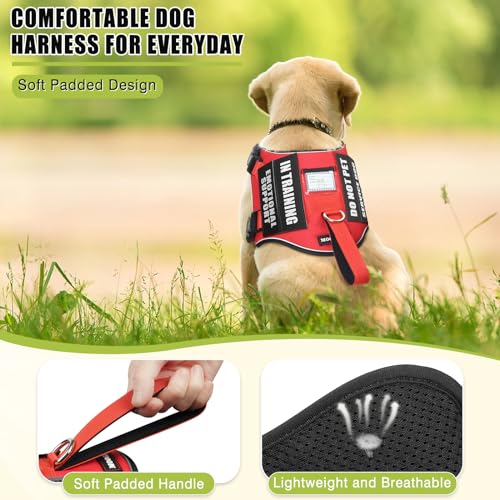 MOOGROU Service Dog Vest Harness Red XS – Full Set with Metal ID Tag, 10 Patches, Reflective Strip & Padded Handle for Small Dogs