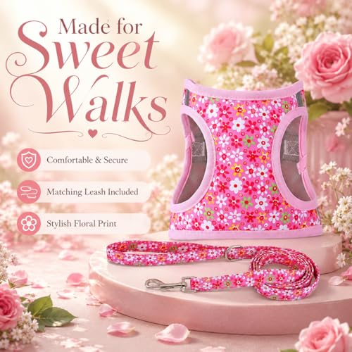 MOONPET Pink Flower Step-In Dog Harness and Leash Set – No-Pull, Reflective, Breathable Mesh Vest for Small Dogs (Size S)