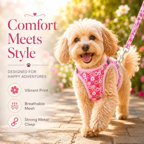 MOONPET Pink Flower Step-In Dog Harness and Leash Set – No-Pull, Reflective, Breathable Mesh Vest for Small Dogs (Size S)