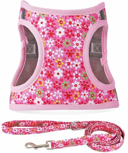 MOONPET Pink Flower Step-In Dog Harness and Leash Set – No-Pull, Reflective, Breathable Mesh Vest for Small Dogs (Size S)