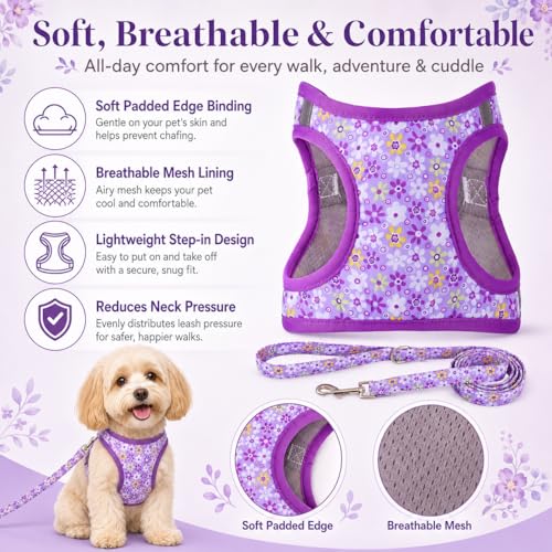 MOONPET Purple Flower Step-In Harness & Leash Set - No Pull, Reflective, Size M (Neck 16.5-21.2 inches)