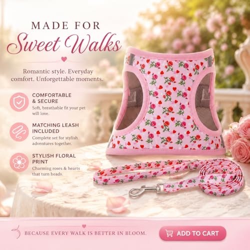 MOONPET Step-in Dog Harness and Leash Set - Heart Rose Floral Pattern - Size S - Reflective No-Pull Vest for Small Dogs