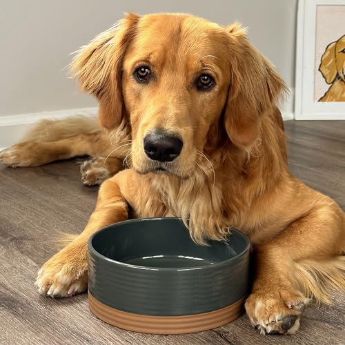 MORA Ceramic Pet Bowl Medium 28oz Charcoal – Lead-Free Porcelain Dish for Dogs & Cats
