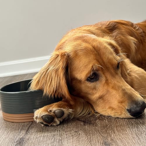 MORA Ceramic Pet Bowl Medium 28oz Charcoal – Lead-Free Porcelain Dish for Dogs & Cats