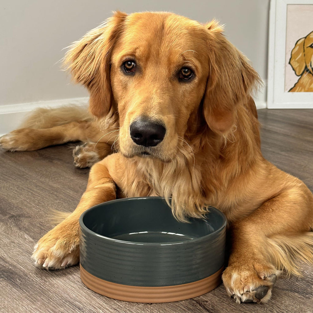 MORA Ceramic Pet Bowl Medium 28oz Charcoal – Lead-Free Porcelain Dish for Dogs & Cats