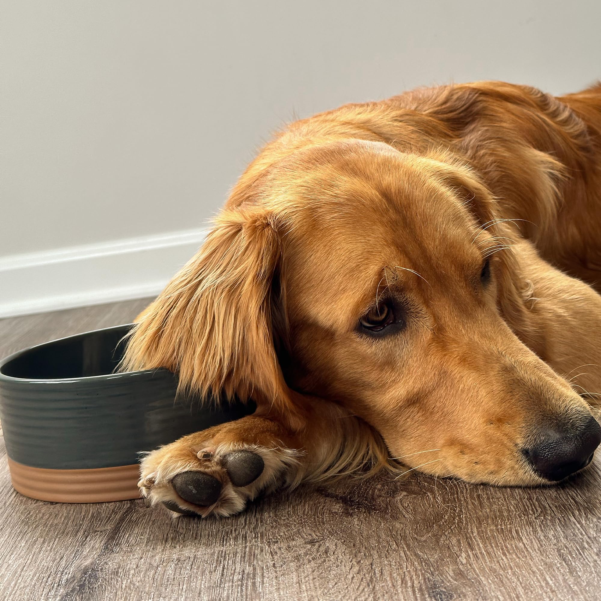 MORA Ceramic Pet Bowl Medium 28oz Charcoal – Lead-Free Porcelain Dish for Dogs & Cats