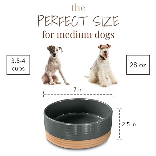 MORA Ceramic Pet Bowl Medium 28oz Charcoal – Lead-Free Porcelain Dish for Dogs & Cats