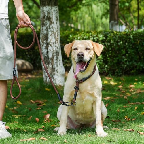 MORXIL 6-Foot Heavy Duty Rope Dog Leash with Auto-Locking Carabiner – Brown